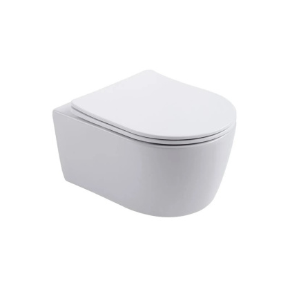 Подвесной унитаз Акватек Европа AQ1106-00 Подвесной унитаз Акватек Европа AQ1106-00