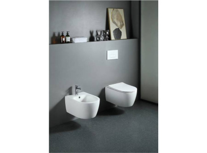 Подвесной унитаз Акватек Европа AQ1106L-00 Подвесной унитаз Акватек Европа AQ1106L-00