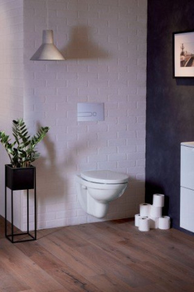 Унитаз подвесной Jacob Delafon Patio EDV102-00, шт Унитаз подвесной Jacob Delafon Patio EDV102-00, шт