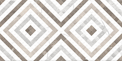 GT123VG Плитка облиц. Siluet GT Бел. 50*25 _орнамент 1 \74,25