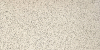 GT301М 600х1200 матовый GT301М 600х1200 матовый