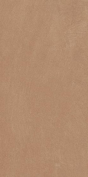 Керамогранит Anti-Slip Argillae Gobi Rect 30х60