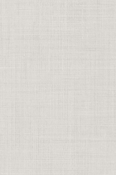 Спинелли серый светлый матовый 20x30x0,69 Спинелли серый светлый матовый 20x30x0,69