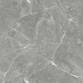 Stone Cool Grey Керамогранит серый 60х60 Полированный Stone Cool Grey Керамогранит серый 60х60 Полированный