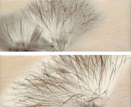 Декор Set(2) Base Miel 20х50 Декор Set(2) Base Miel 20х50