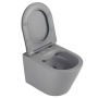 Унитаз ABBER Bequem AC1102MG подвесной серый матовый, безободковый Унитаз ABBER Bequem AC1102MG подвесной серый матовый, безободковый