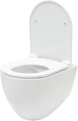 Подвесной унитаз Allen Brau Reality 4.32006.20 Подвесной унитаз Allen Brau Reality 4.32006.20