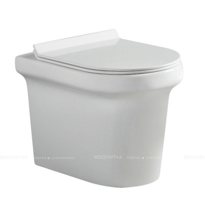 Унитаз приставной Aquanet Rimless Nova-F BL-101N-FST