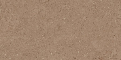 Керамогранит NP03 30,6x60,9x8 Непол.