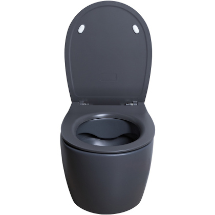 Чаша подвесного унитаза Allen Brau Fantasy 4.11004.AN антрацит Чаша подвесного унитаза Allen Brau Fantasy 4.11004.AN антрацит