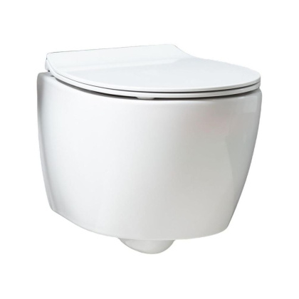 Подвесной унитаз Allen Brau Fantasy 4.11004.20 Подвесной унитаз Allen Brau Fantasy 4.11004.20