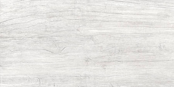 GT223VG Керамогранит Storm_GT светло-сер. 30x60 1\58,32