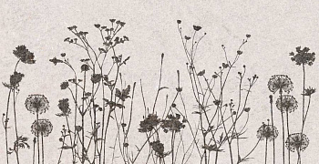 Декор Flamel 31х61 Декор Flamel 31х61