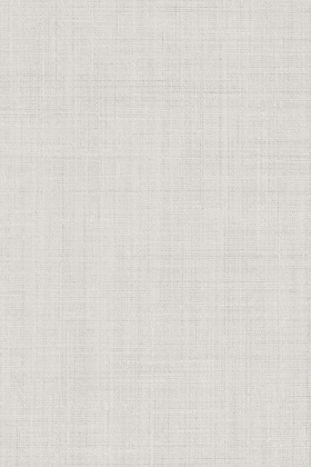 Спинелли серый светлый матовый 20x30x0,69 Спинелли серый светлый матовый 20x30x0,69