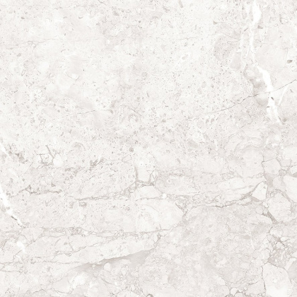 Emil White Керамогранит светло-серый 60x60 Полированный Emil White Керамогранит светло-серый 60x60 Полированный