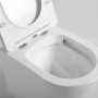 Унитаз подвесной Piatti VT1-11S, цвет белый, ультратонкое soft-close сиденье Унитаз подвесной Piatti VT1-11S, цвет белый, ультратонкое soft-close сиденье