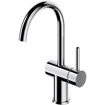 Смеситель для умывальника с поворотным изливом OMNIRES Y Y1219CR (хром)