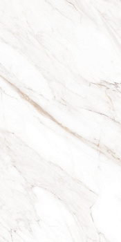 Керамогранит Calacatta Gold Polished 60х120