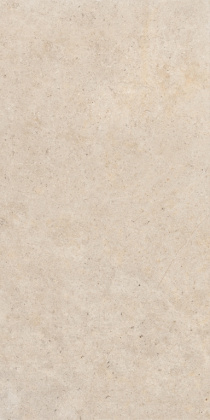 Керамогранит K-2061/MR/600x1200x10 KERRANOVA 60х120